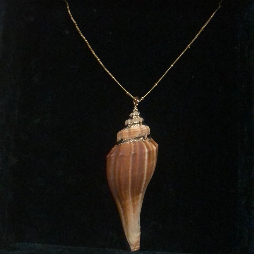 14kt gold plated tan conch shell necklace